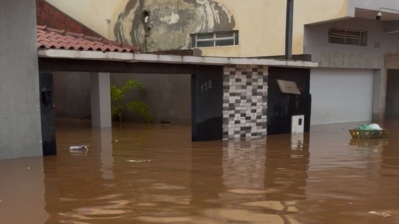 VAQUINHA SOLIDÁRIA FIGUEIREDO